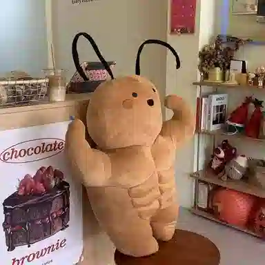 35cm50cm