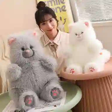 40cm50cm