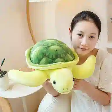 50cm
