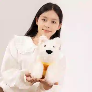 25cm35cm