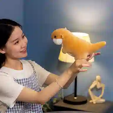 22cm