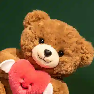 25cm30cm