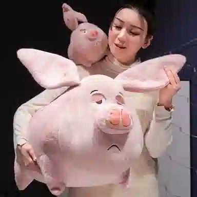 25cm40cm60cm