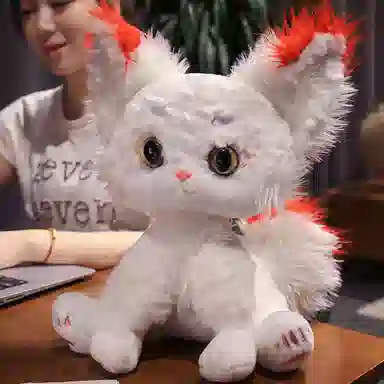 35cm55cm