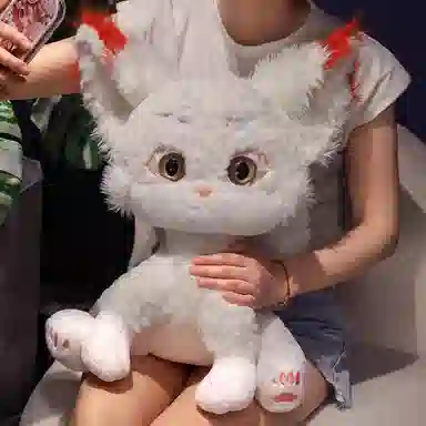 35cm55cm