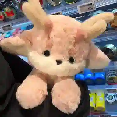 30cm