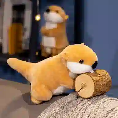 22cm
