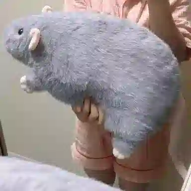 30cm50cm90cm