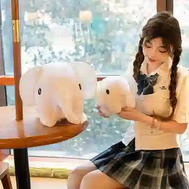 30cm45cm