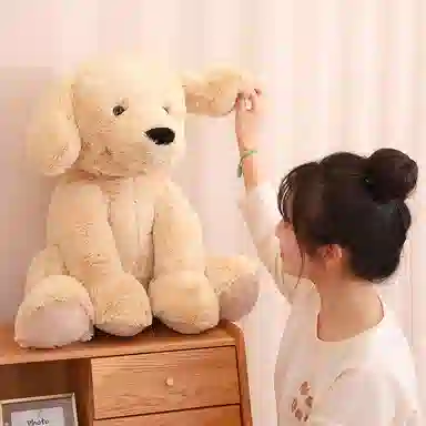 60cm80cm
