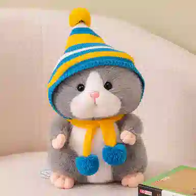 25cm30cm