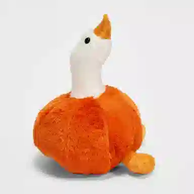 25cm