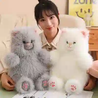 40cm50cm