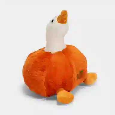 25cm