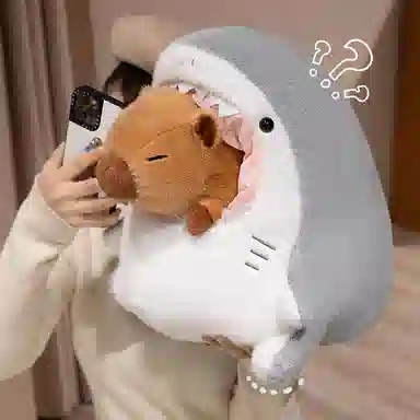 30cm40cm