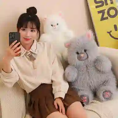 40cm50cm