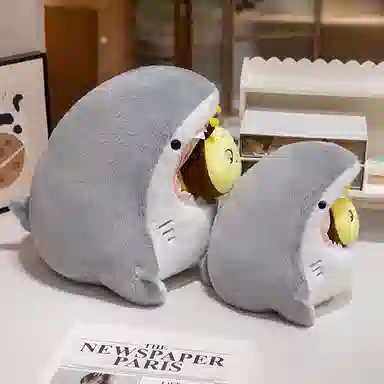 30cm40cm