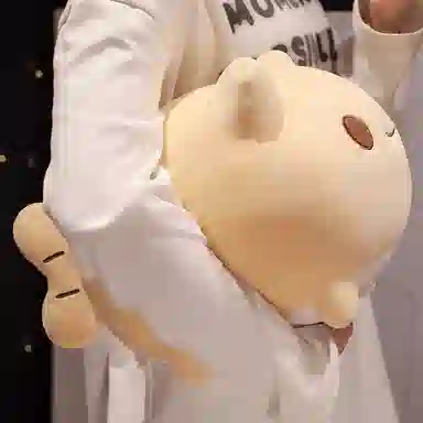 20cm25cm