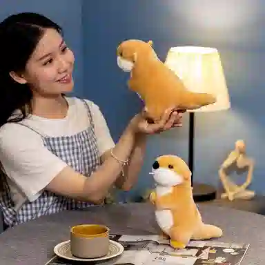 22cm