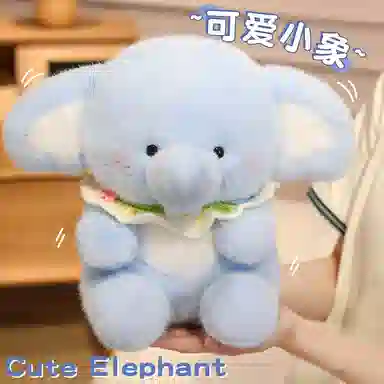 28cm40cm