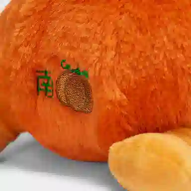 25cm