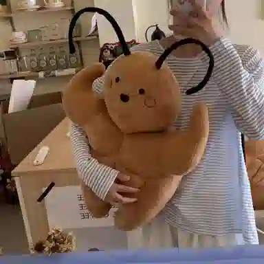 35cm50cm