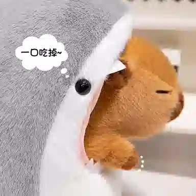 30cm40cm