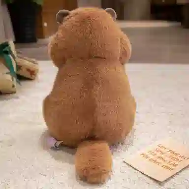 20cm30cm40cm