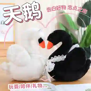 28cm38cm