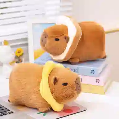 16cm20cm