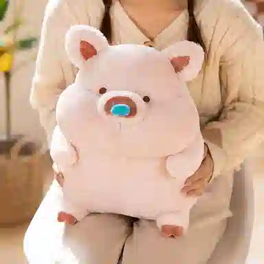 25cm40cm50cm
