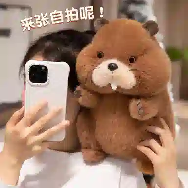 20cm30cm40cm