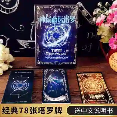 乖乖熊 神秘魔法命运塔罗牌 初学者全套 其他桌游