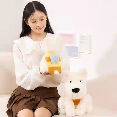 25cm35cm