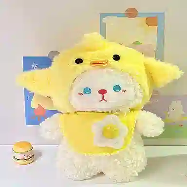 24cm