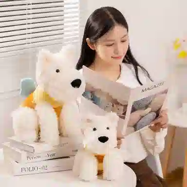 25cm35cm