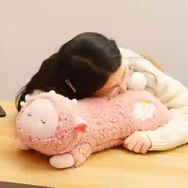 35cm40cm50cm58cm78cm