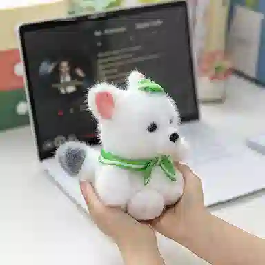 15cm20cm