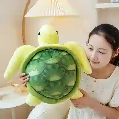 50cm