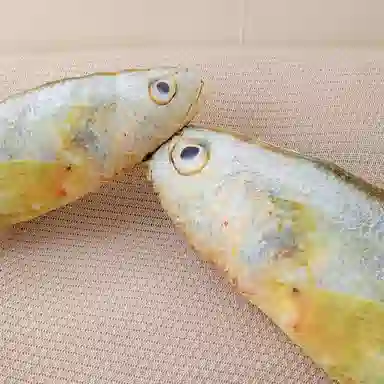 60cm120cm160cm180cm