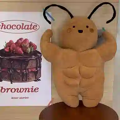 35cm50cm