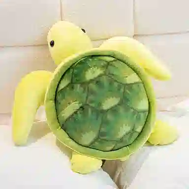 50cm