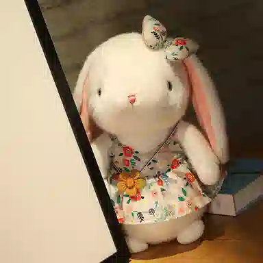 25cm30cm40cm
