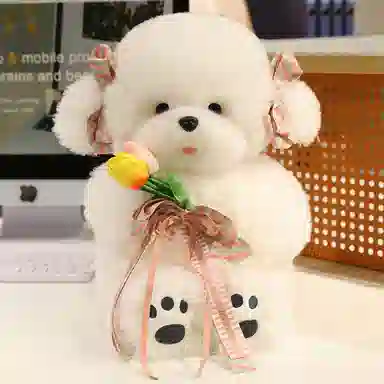 40cm