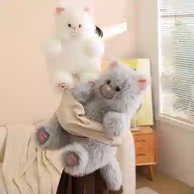 40cm50cm