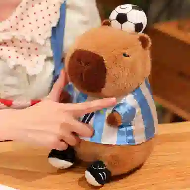 22cm