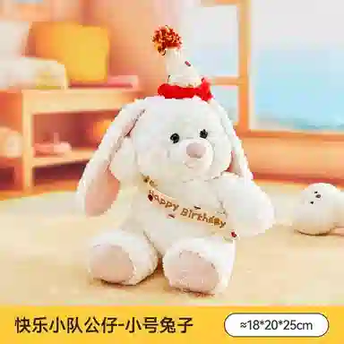 25cm