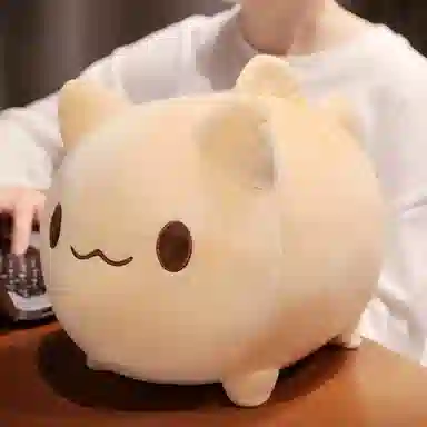 20cm25cm
