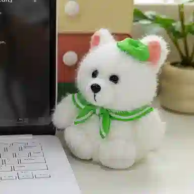 15cm20cm