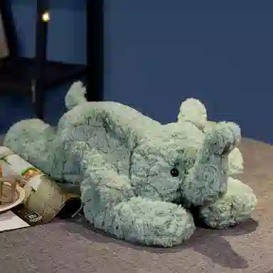 50cm
